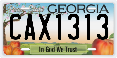 GA license plate CAX1313