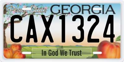GA license plate CAX1324