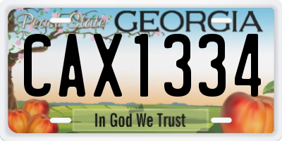 GA license plate CAX1334