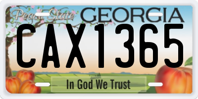 GA license plate CAX1365