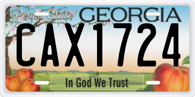 GA license plate CAX1724
