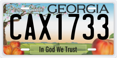 GA license plate CAX1733