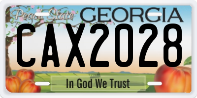 GA license plate CAX2028