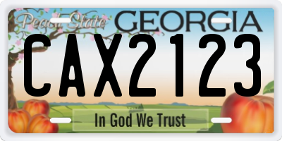 GA license plate CAX2123