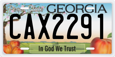 GA license plate CAX2291