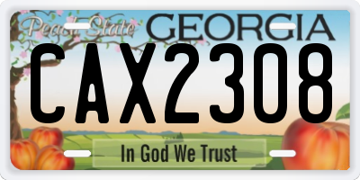 GA license plate CAX2308