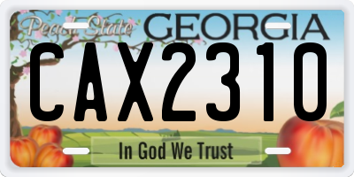 GA license plate CAX2310