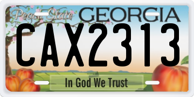 GA license plate CAX2313