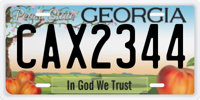 GA license plate CAX2344