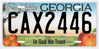 GA license plate CAX2446