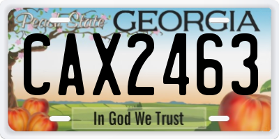 GA license plate CAX2463