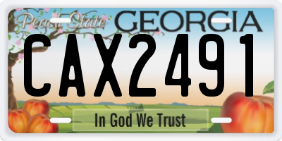 GA license plate CAX2491