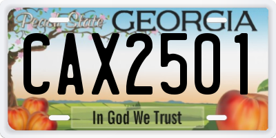 GA license plate CAX2501