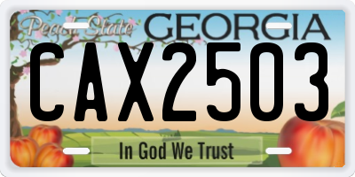 GA license plate CAX2503