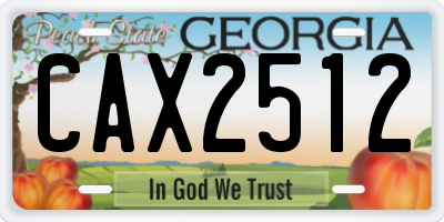 GA license plate CAX2512