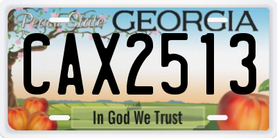 GA license plate CAX2513