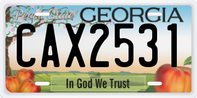 GA license plate CAX2531