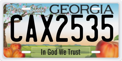 GA license plate CAX2535