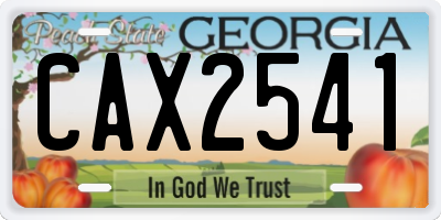 GA license plate CAX2541