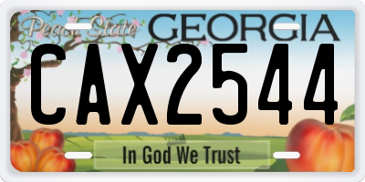 GA license plate CAX2544