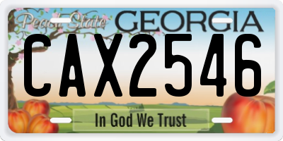 GA license plate CAX2546