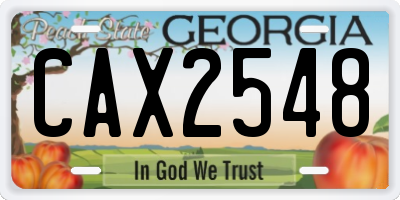 GA license plate CAX2548