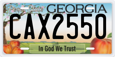 GA license plate CAX2550