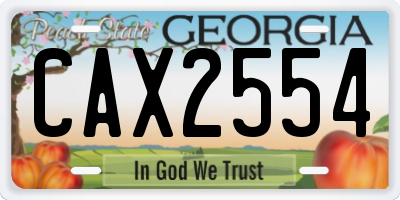 GA license plate CAX2554