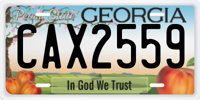 GA license plate CAX2559