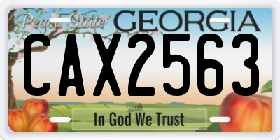 GA license plate CAX2563