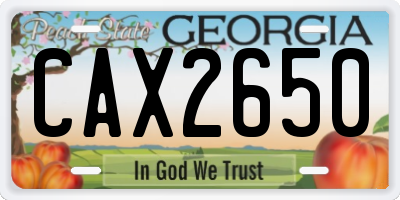 GA license plate CAX2650