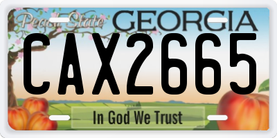 GA license plate CAX2665