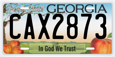 GA license plate CAX2873