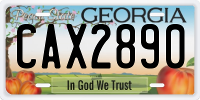GA license plate CAX2890