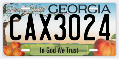 GA license plate CAX3024