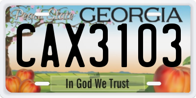 GA license plate CAX3103