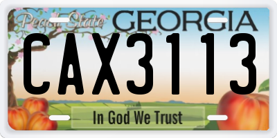 GA license plate CAX3113