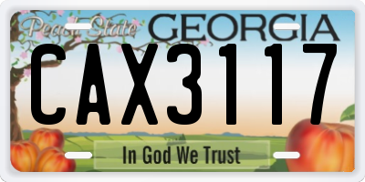 GA license plate CAX3117