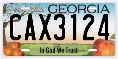 GA license plate CAX3124