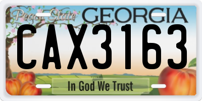 GA license plate CAX3163