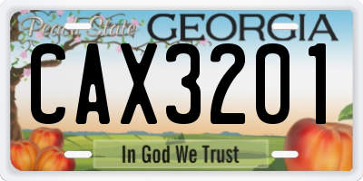 GA license plate CAX3201