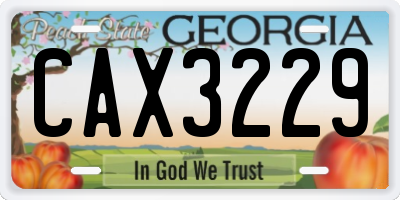 GA license plate CAX3229