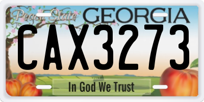 GA license plate CAX3273