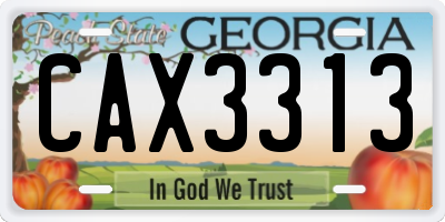 GA license plate CAX3313