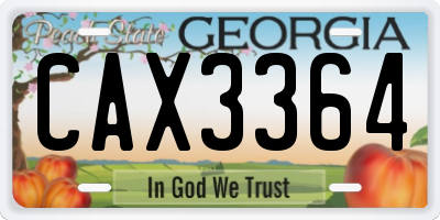 GA license plate CAX3364
