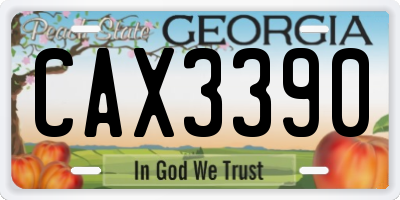 GA license plate CAX3390