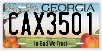 GA license plate CAX3501