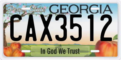 GA license plate CAX3512
