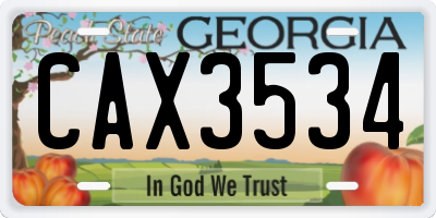 GA license plate CAX3534