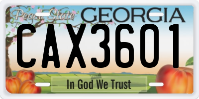 GA license plate CAX3601